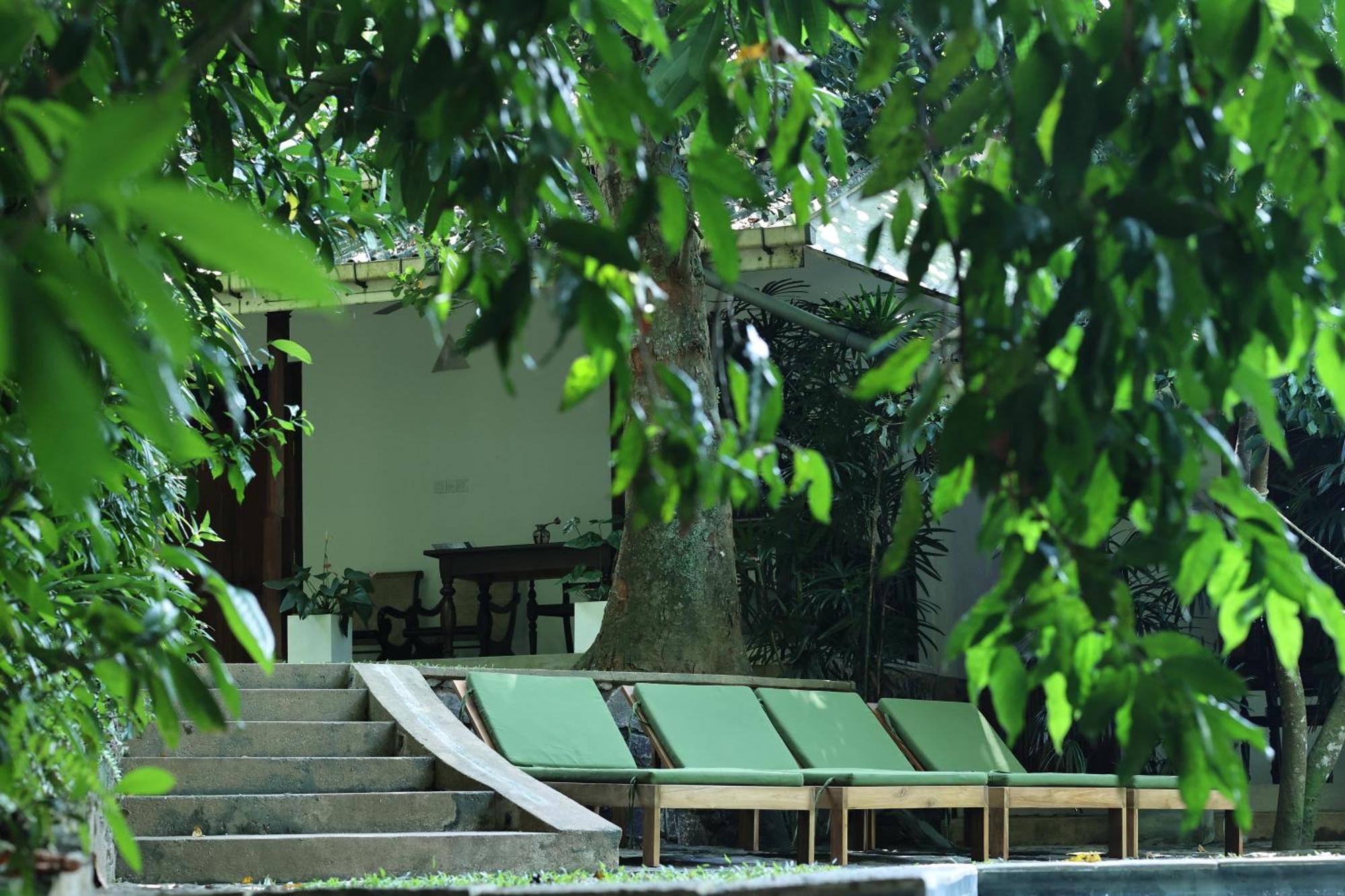 Готель Ceylon Olive 5*