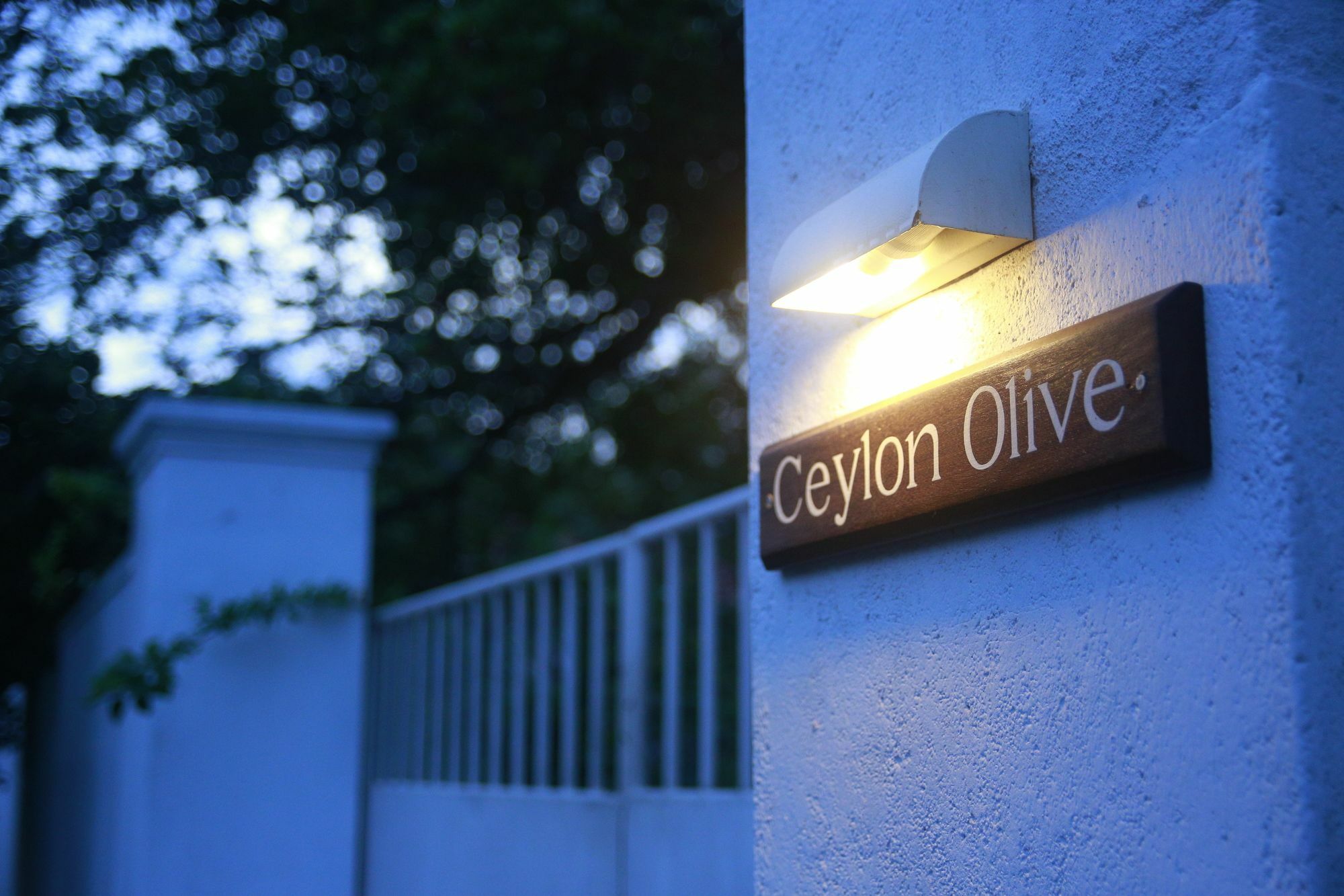 Ceylon Olive Готель
