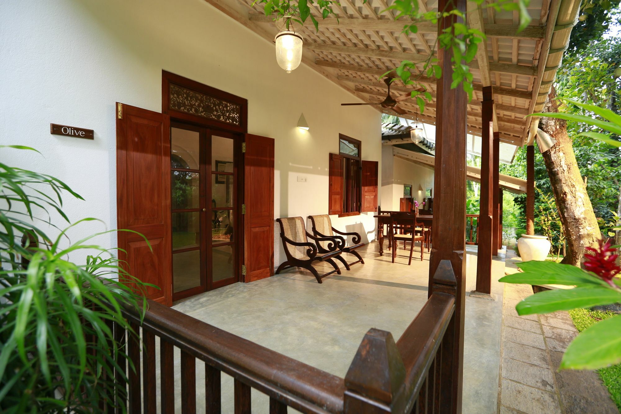 Ceylon Olive 5*
